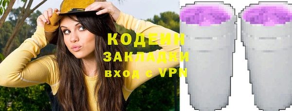 индика Армянск