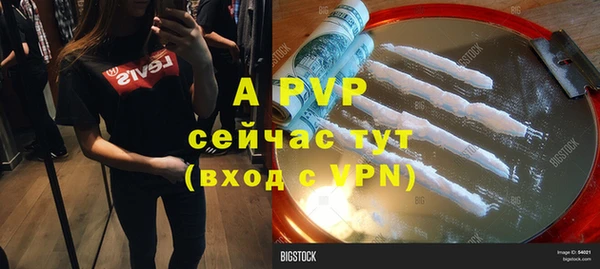 индика Армянск