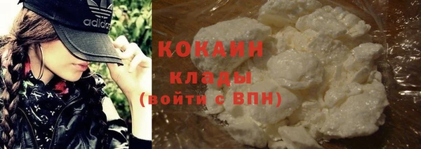 индика Армянск