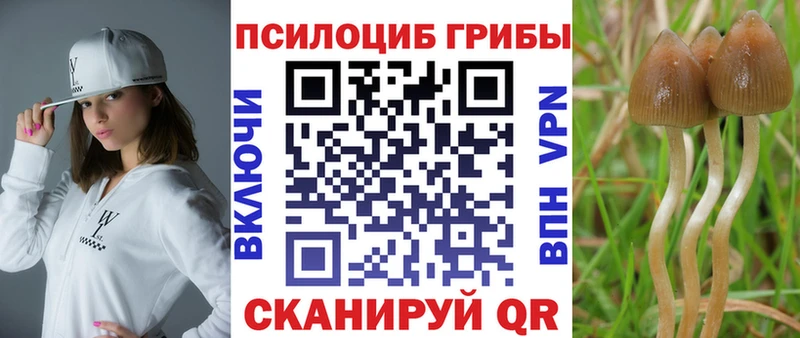 Галлюциногенные грибы MAGIC MUSHROOMS  ссылка на мегу ССЫЛКА  Валуйки 